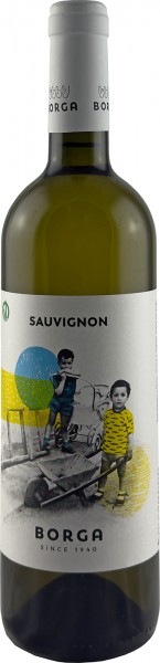 Sauvignon Blanc 2023